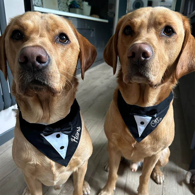 Personalized Wedding Pet Bow Tuxedo Suit | BKPet157