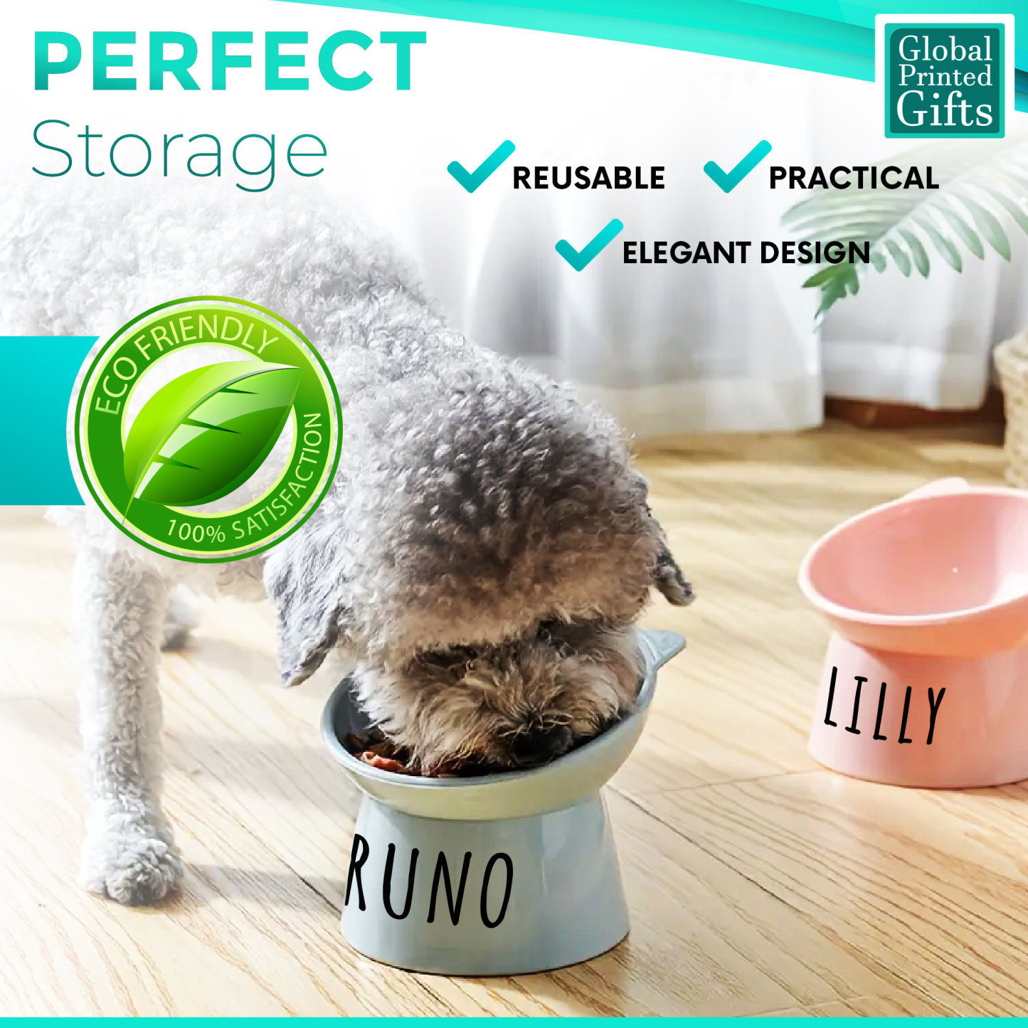 Personalized Color Cute Pet Bowl with Name  | BKPet74