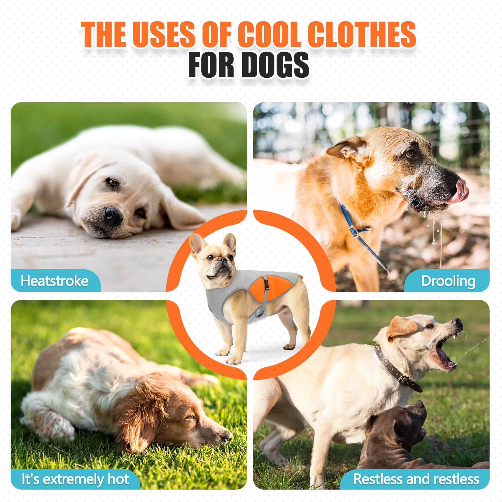 Personalized Pet Lightweight Cooling Breathable Vest | BKPet403