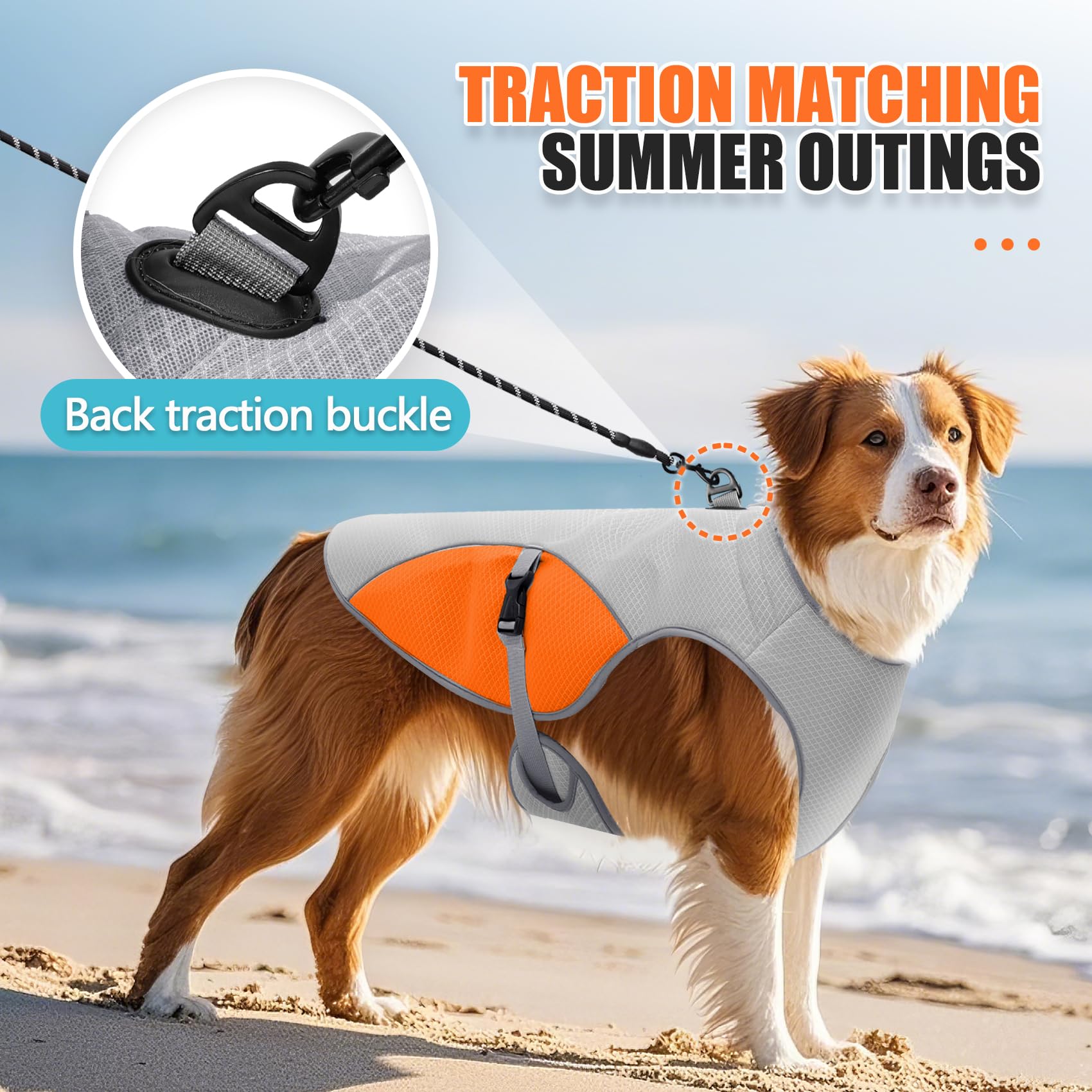 Personalized Pet Lightweight Cooling Breathable Vest | BKPet403