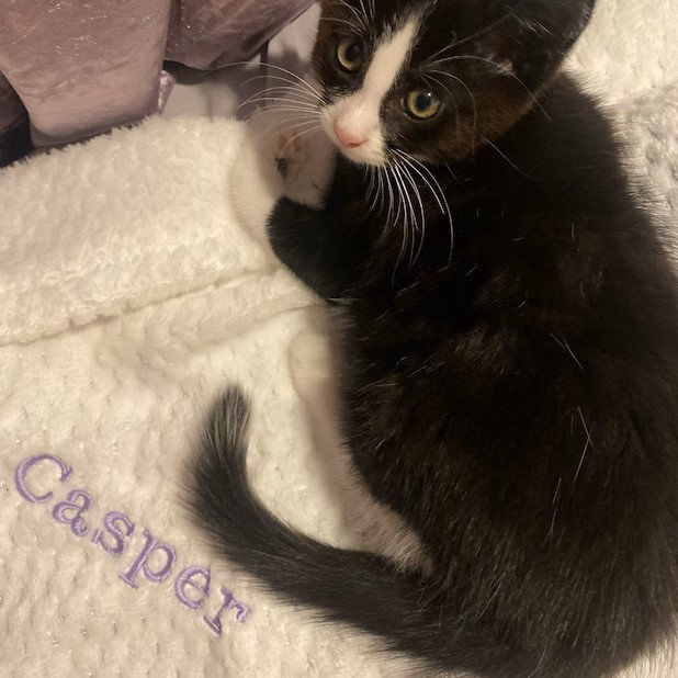 Personalized Embroidered Pet Soft Waffle Blanket | BKPet197