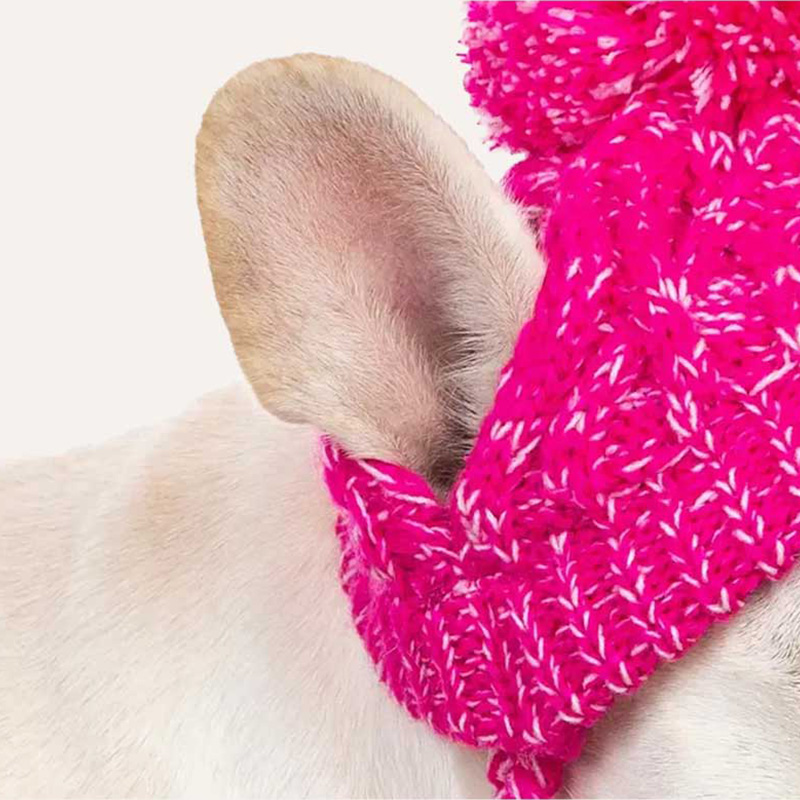 Personalized Pets Leather Patch Knitted Hat | BKPet215