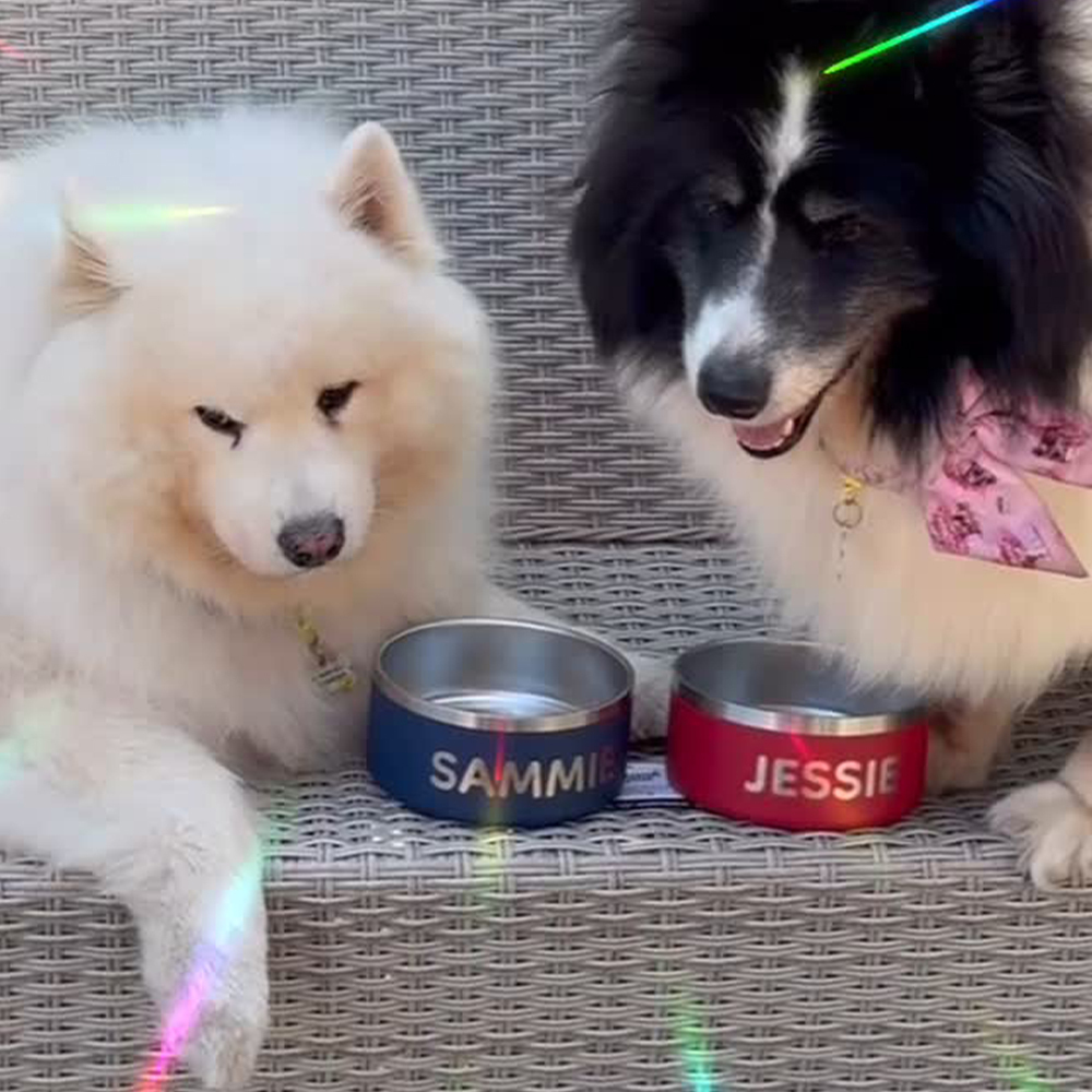 Personalized Stainless Steel Pet Food Bowl | BKPet229