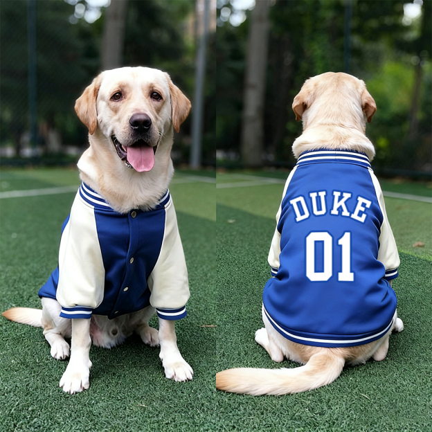 Personalized Pet Large Baseball Jacket | BKPet250