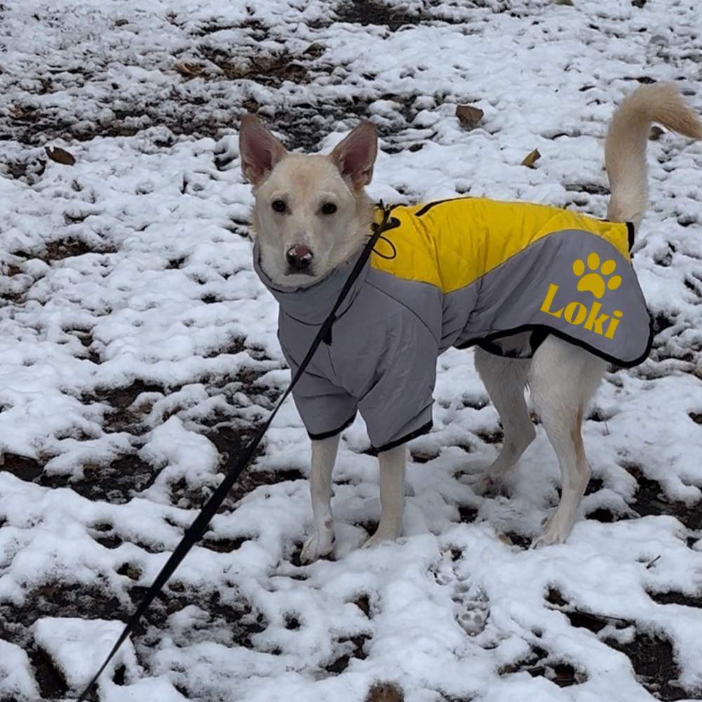 Personalized Pet Winter Warm Windproof Large Puffer Jacket | BKPet281