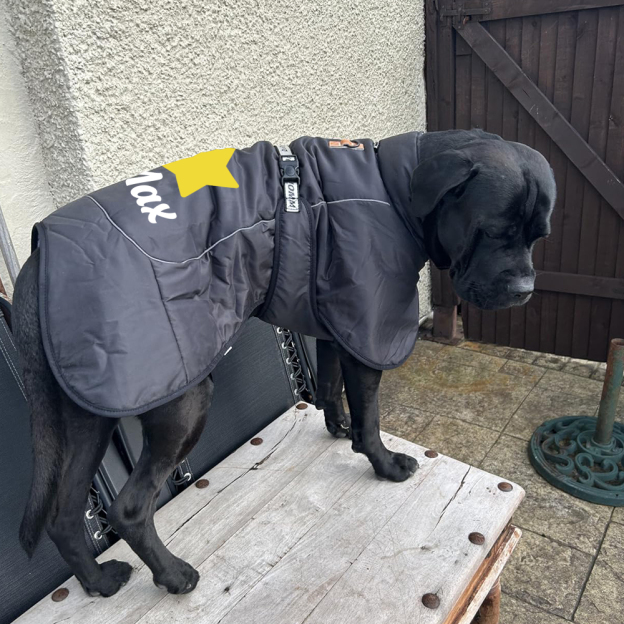 Personalized Pet Winter Warm Reflective Safety Puffer Vest | BKPet302