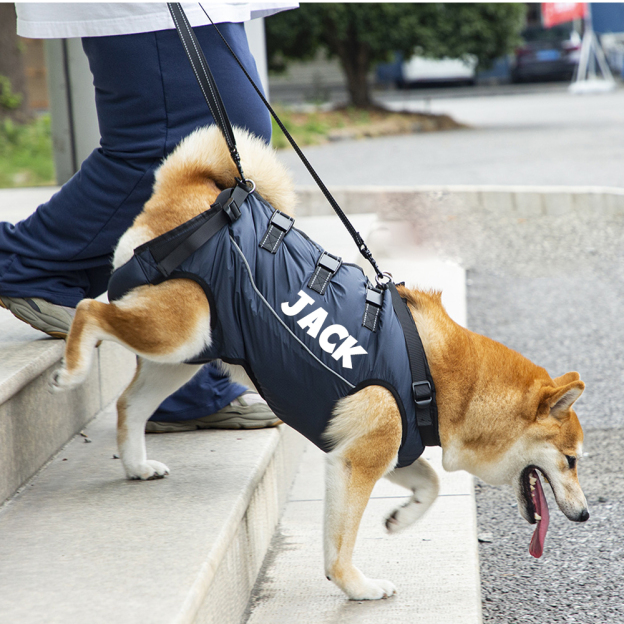 Personalized Adjustable Pet Lifting Harness Breathable Full Body Support | BKPet309