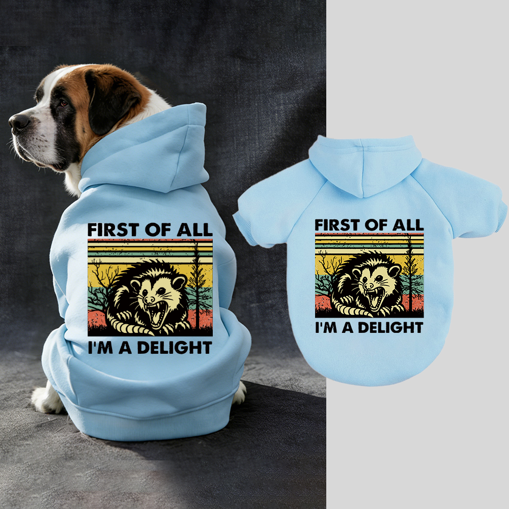 FIRST OF ALL I'M A DELIGHT Puppy Hoodie | BKPet331