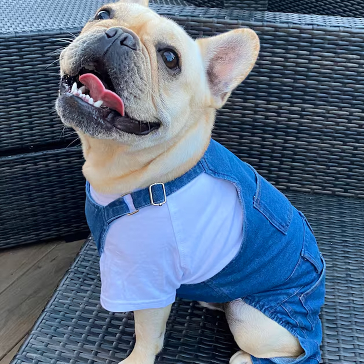 Personalized Leather Patch Pets Classic Overall Dungarees | BKPet56