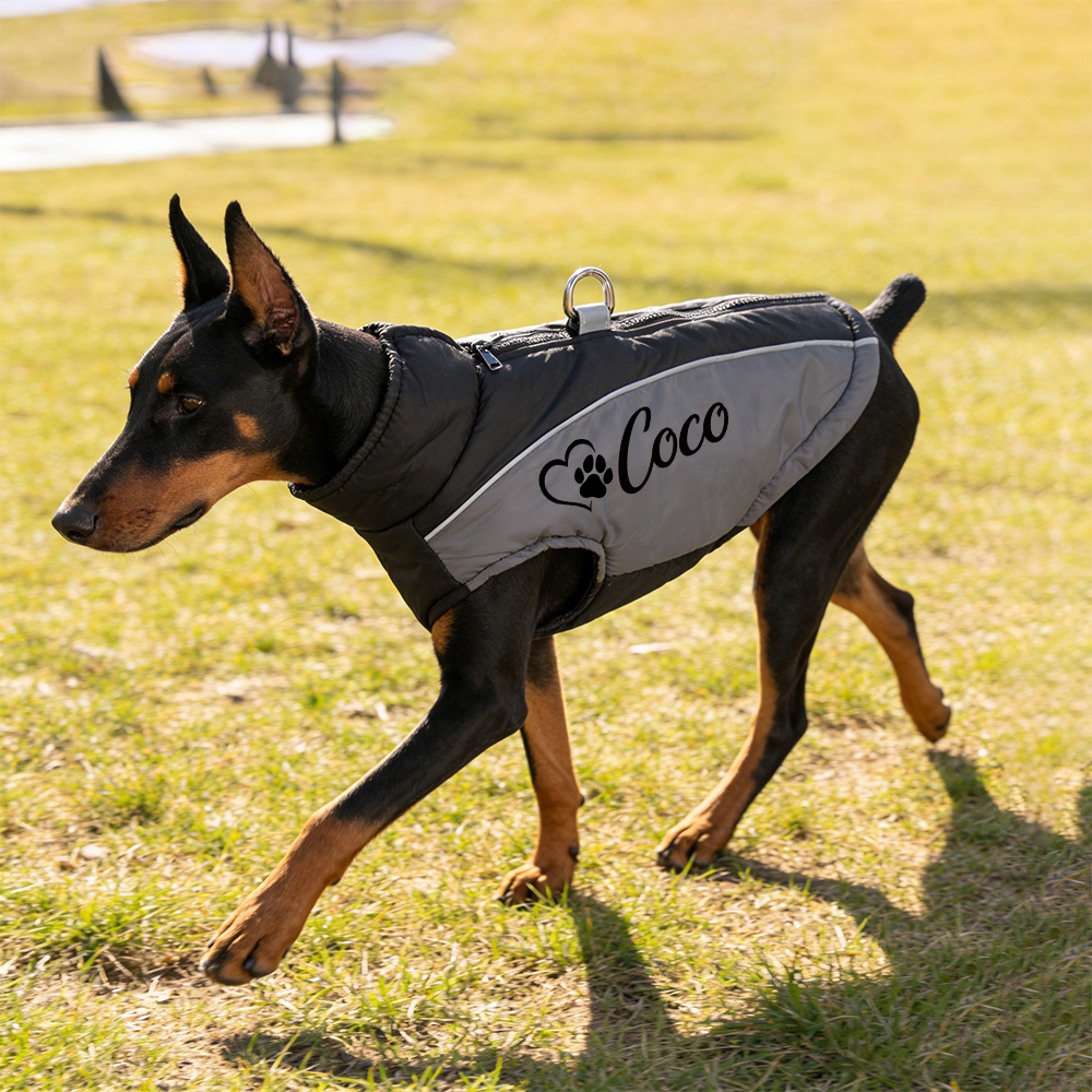 Personalized Pet Winter Warm Windproof Puffer Jacket | BKPet349