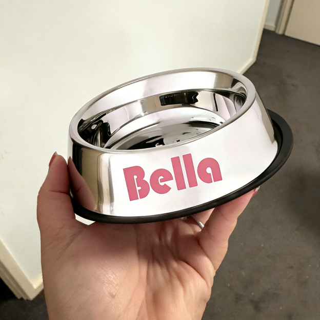 Personalized Pet Stainless Steel Anti-slip Food Bowl | BKPet367