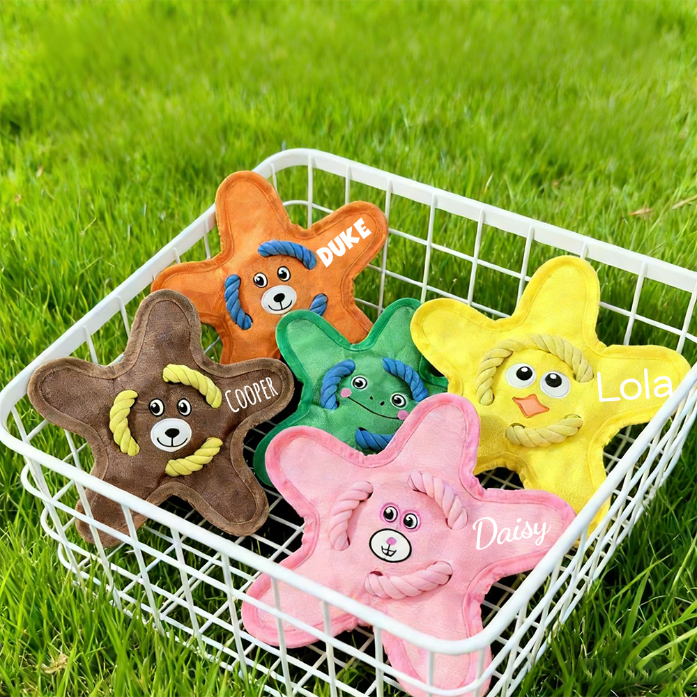Personalized Star Flying Disc Squeaky Dog Toy | BKPet386