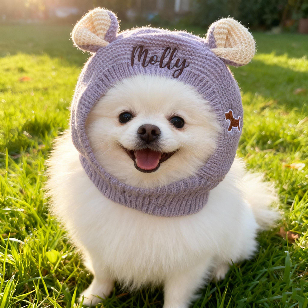 Personalized Embroidered Pet Winter Anti Noise Earmuffs Hat | BKPet206