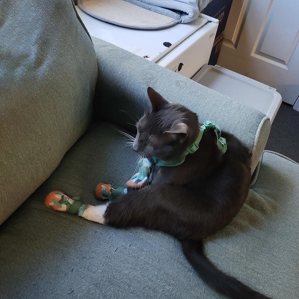 Pet Breathable Adjustable Soft Non-slip Shose | BKPet393