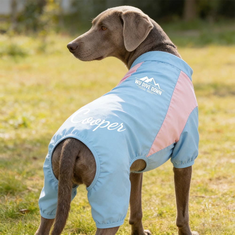 Personalized All-season Large Size  Puppy Shirt | BKPet413