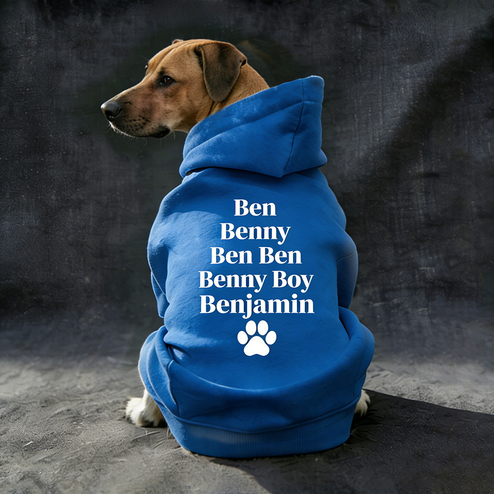 Personalized Pet Cozy Nickname Hoodie | BKPet418