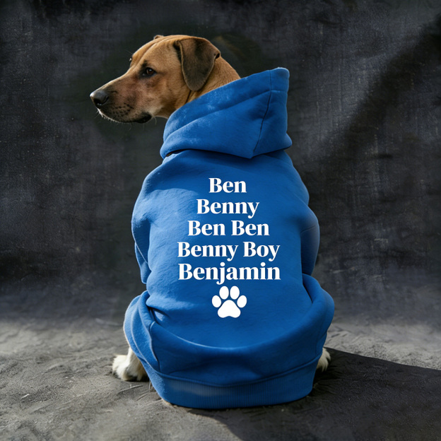 Personalized Pet Cozy Nickname Hoodie | BKPet418