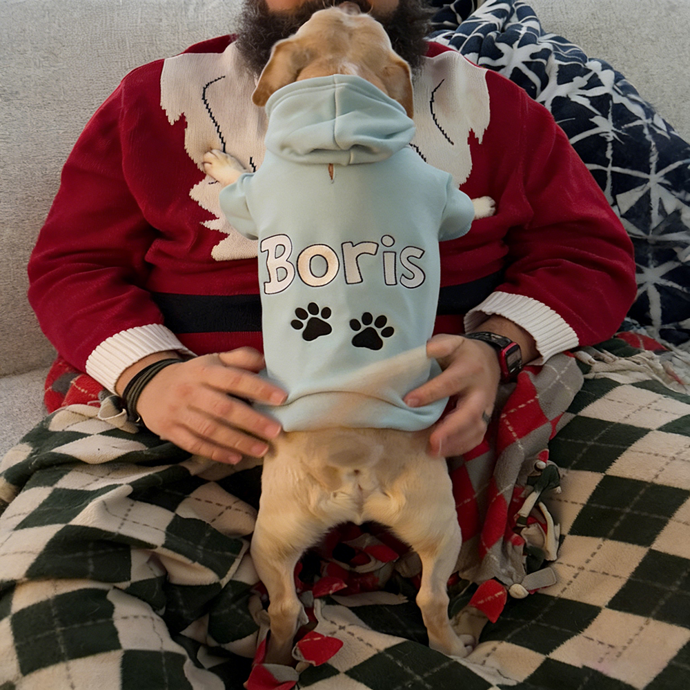 Personalized Embroidered Pet Comfortable Soft Hoodie | BKPet419