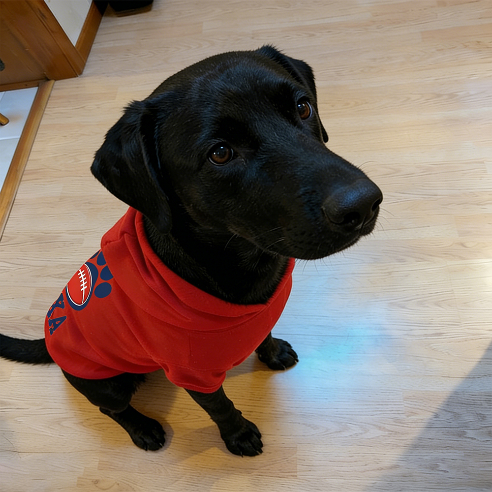 Personalized Football Team Pet Paw Soft Hoodie | BKPet427