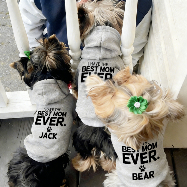 Personalized I Have the Best Mom Ever Pet Soft Hoodie | BKPet430