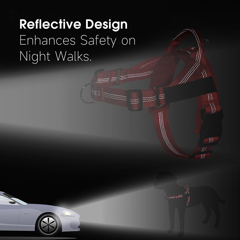 Personalized Embroidered Dog Harness & Leash Set | BKPet462