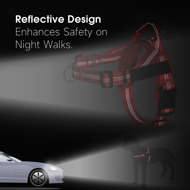 Personalized Embroidered Dog Harness & Leash Set | BKPet462