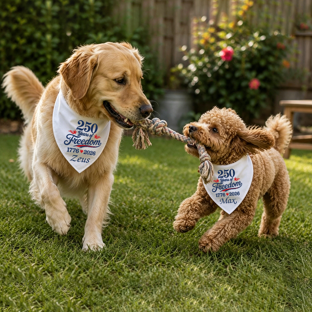 Personalized 250th Anniversary Independence Day Dog Bandana | BKPet508