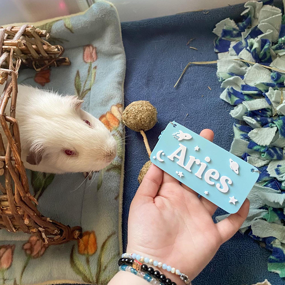 Personalized 3D Printed Pet Cage Name Tag | BKPet510