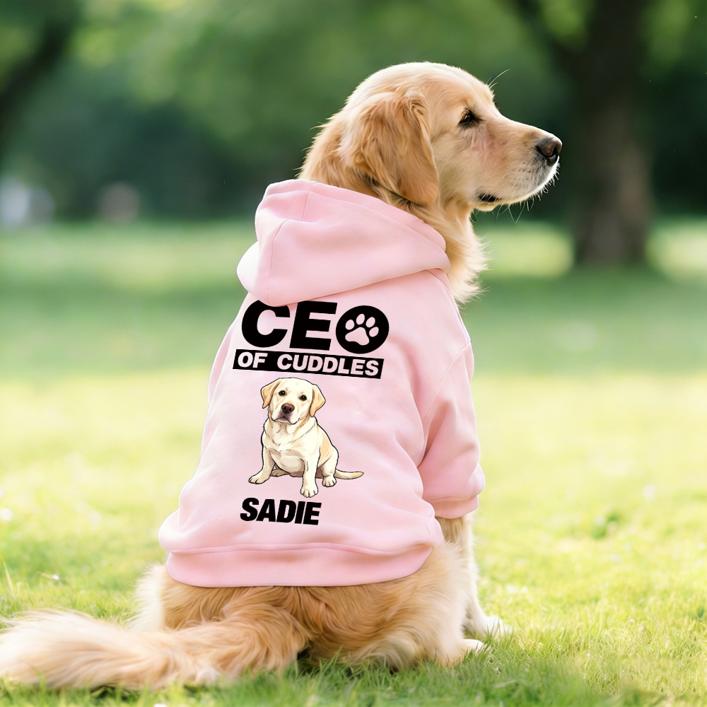 Personalized Funny Pet Portrait Hoodie | BKPet511