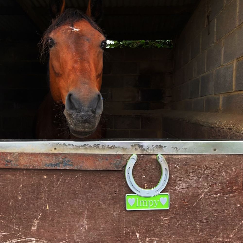 Personalized 3D Horseshoe Stable Door Name Plate | CWGift72