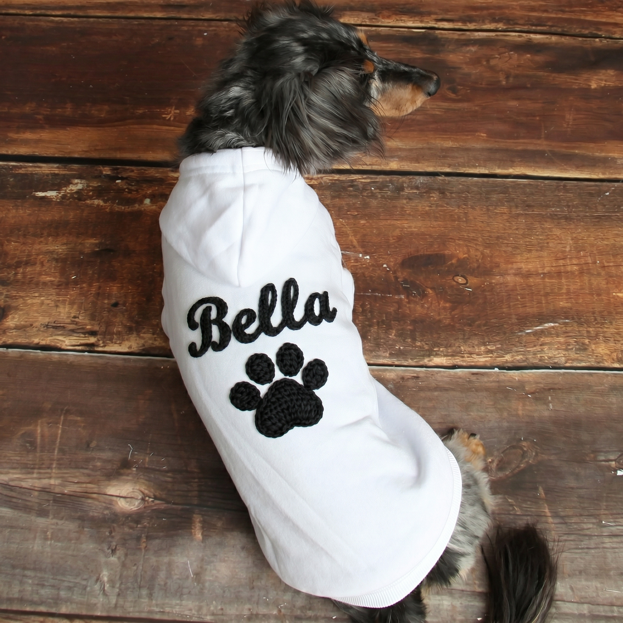 Personalized Hand Embroidery Lovely Paw Large Size Puppy Hoodie | BKPet512