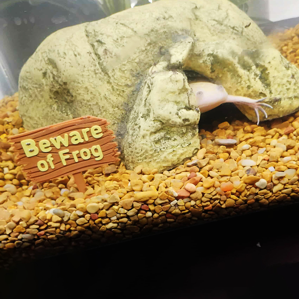 Personalized 3D Printed Forest Sign for Fishtanks | CWGift92