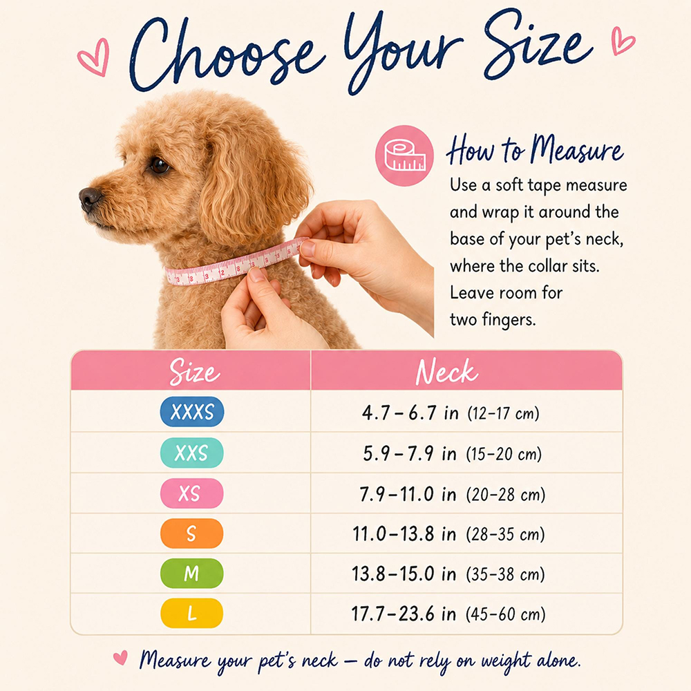 Personalized Handmade Beaded Adjustable Buckle Dog Collar | BKPet573