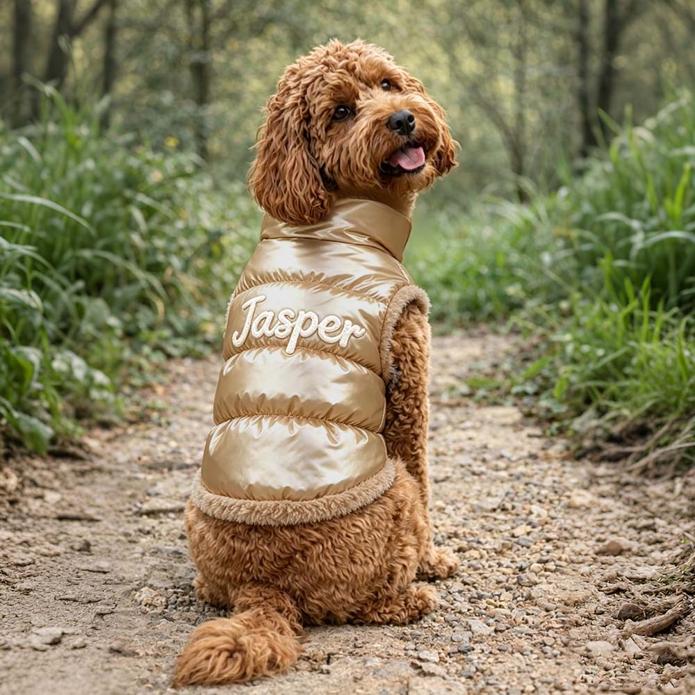 Personalized Pets Winter Warm Windproof Jacket | BKPet572