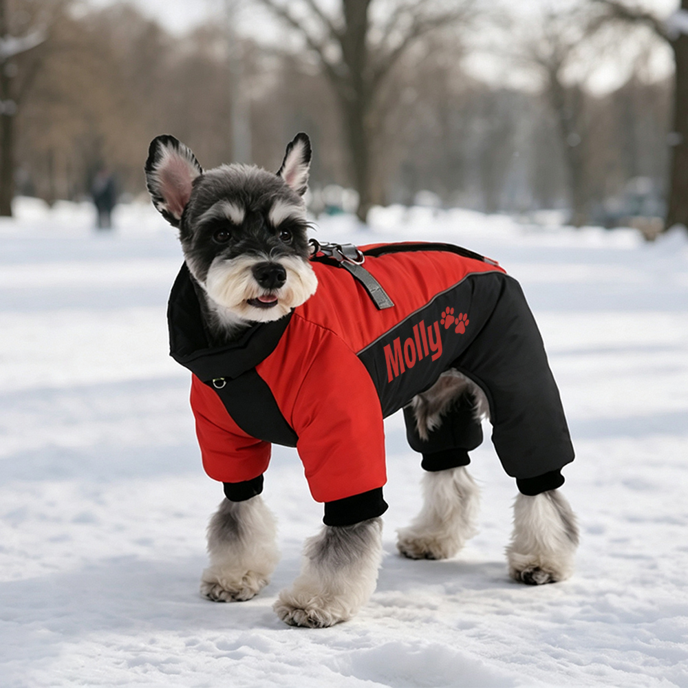 Personalized Winter Color-Blocked Cotton Coats For Pets | BKPet599