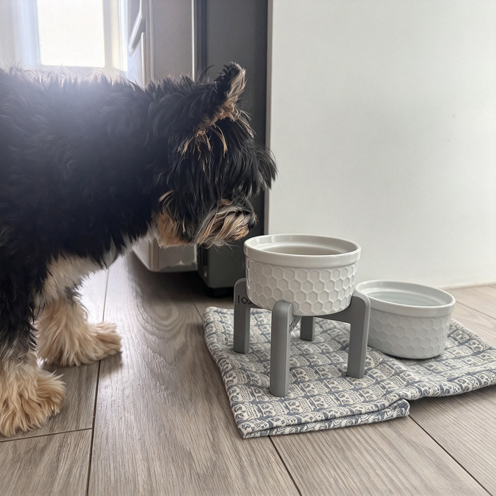 Personalized 3D Printed Pet Elevated Bowl Stand | BKPet653