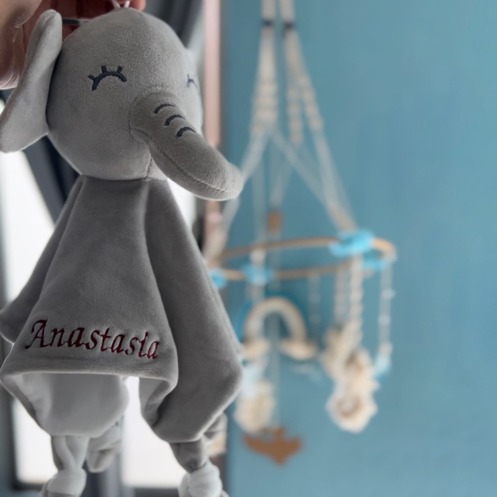 Personalized Baby Embroidery Comforter Sleep Toy | CWToy62