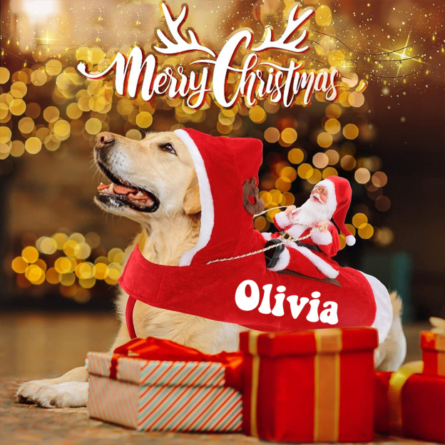 Personalized Christmas Santa Pet Riding Clothes | BKPet96
