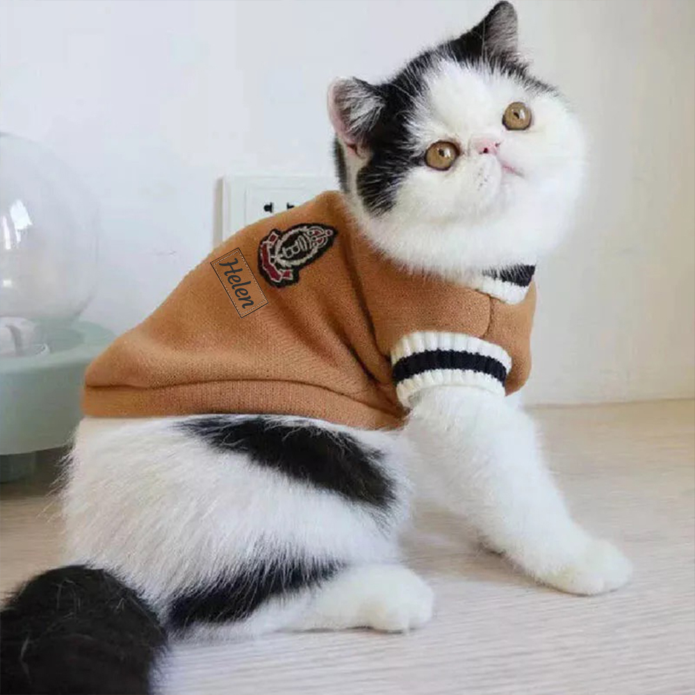 Personalized Leather Patch Pets Sweater | BKPet98