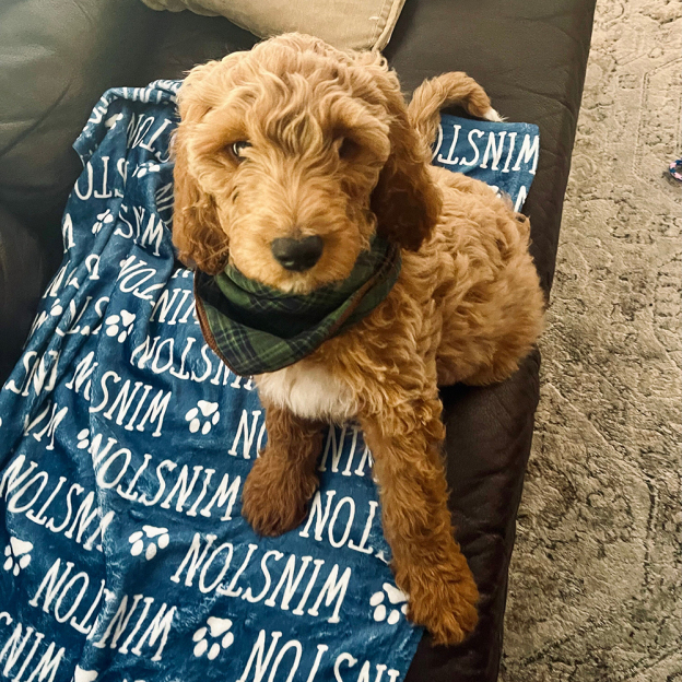 Personalized Lovely Pet Blanket for Comfort & Unique | BKPet01