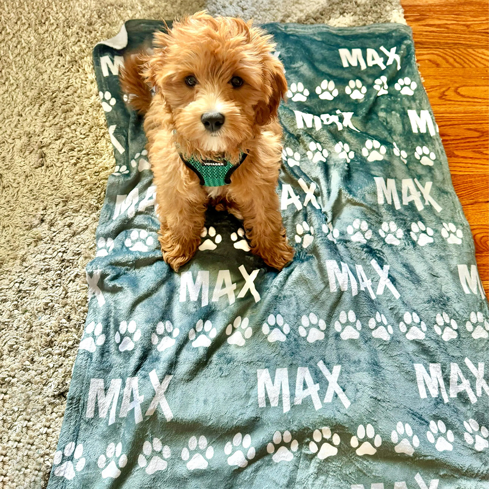 Personalized Lovely Pet Blanket for Comfort & Unique | BKPet14
