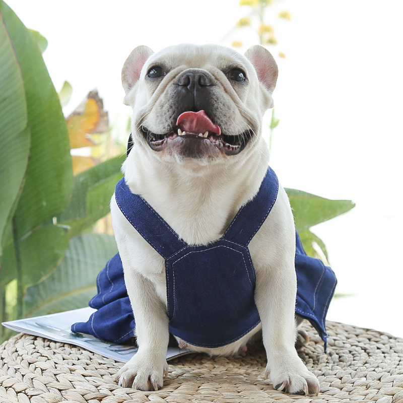Personalized Leather Patch Pets Denim Skirt | BKPet135