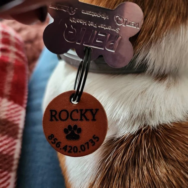 Personalized Handmade Silent Leather Pet ID Tag | BKPet145