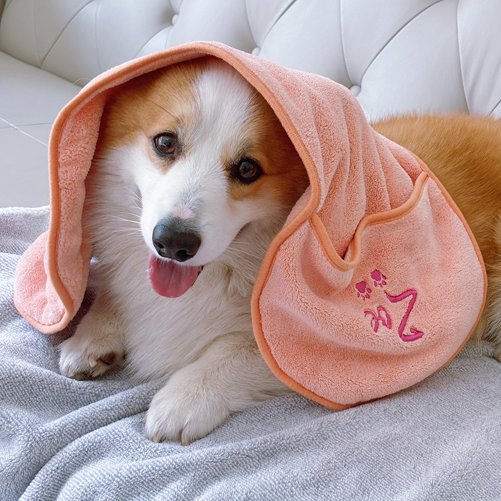 Personalized Embroidered Pet Drying Towel | BKPet167