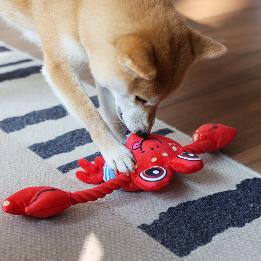 Personalized Handmade Pet Squeaky Interactive Chew Toy | BKPet172