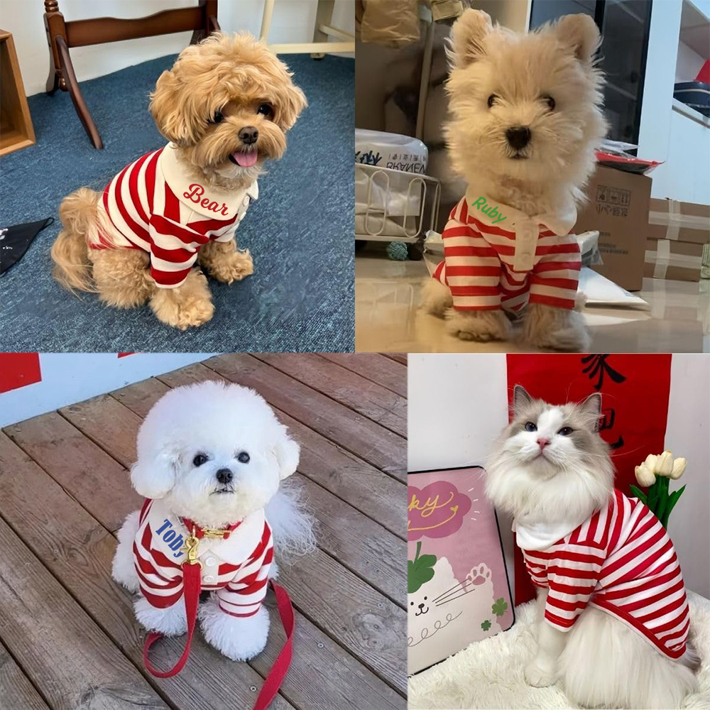 Personalized Pet Striped Polo Shirt | KKPet399