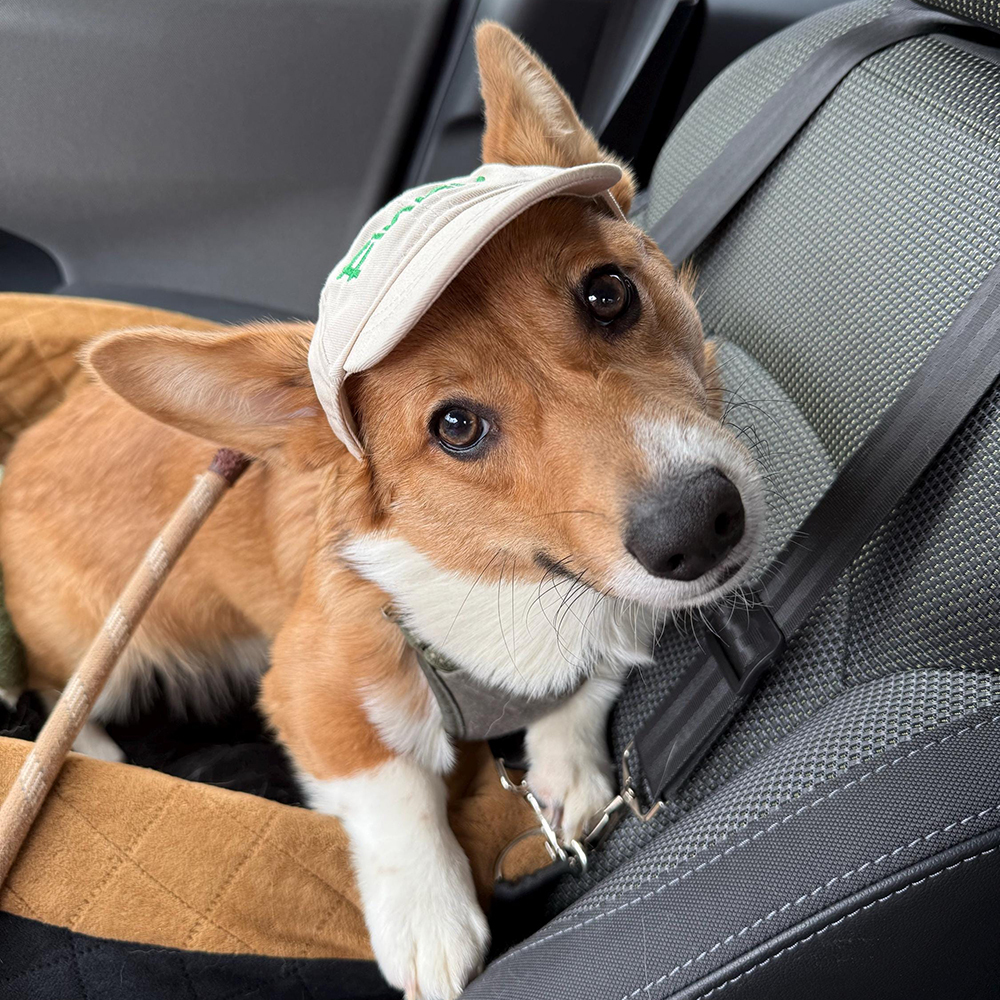 Personalized Embroidery Pet Adjustable Baseball Cap | BKPet182
