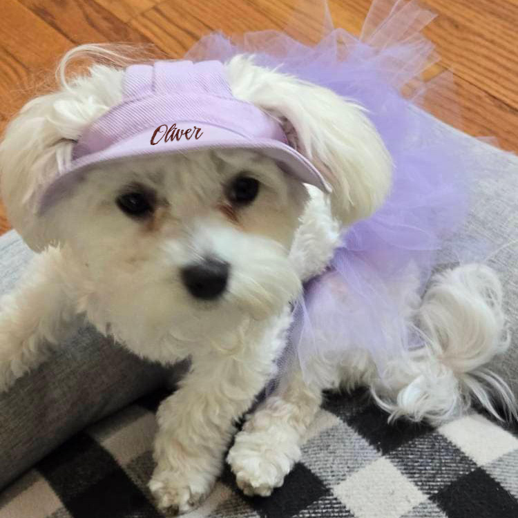 Personalized Embroidery Adjustable Pet Sun Bucket Hat | BKPet183