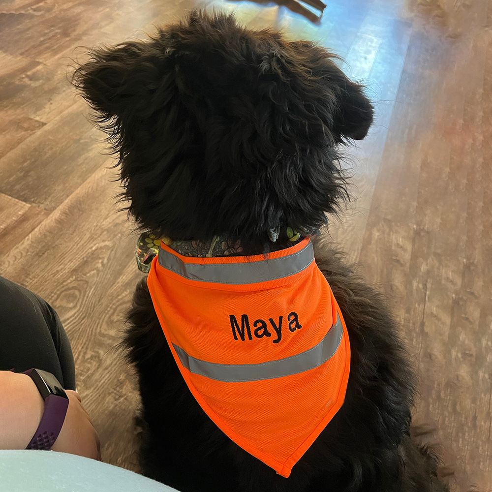 Personalized Pet Reflective Safety Bandana & Vest Set | BKPet163