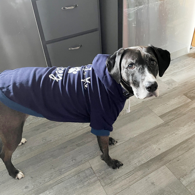 Personalized Cozy Season Warm Puppy Hoodie | BKPet282